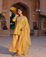 Malvika Yellow Tissue Suit Set